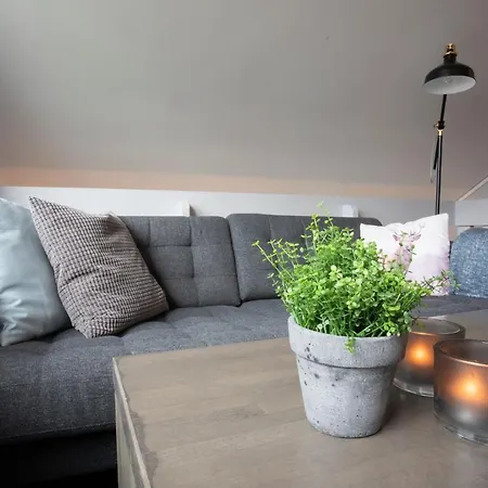 公寓 海姆瑟达尔咖啡滑雪者小屋酒店 *